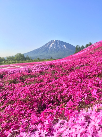外に出たくて仕方ない〜誘惑の北海道