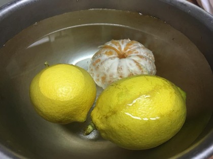 アレルギーのある果物が食べれた？！〜素粒水