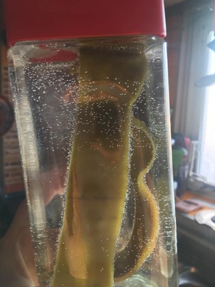 お米が美味しくなったから〜素粒水を使うようになったきっかけ体験談