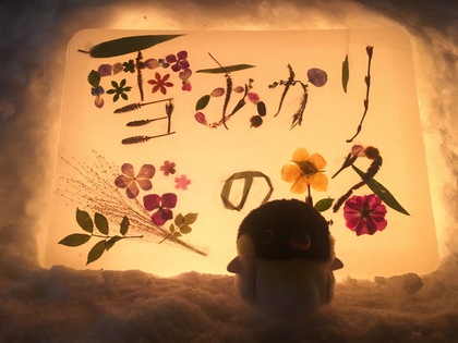 小樽雪あかりの路〜冬を楽しむ♪〜北海道LOVE