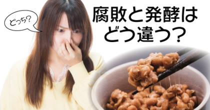 腐敗と発酵はどう違う？