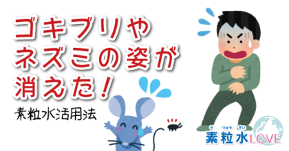 ゴキブリやネズミの姿が消えた！