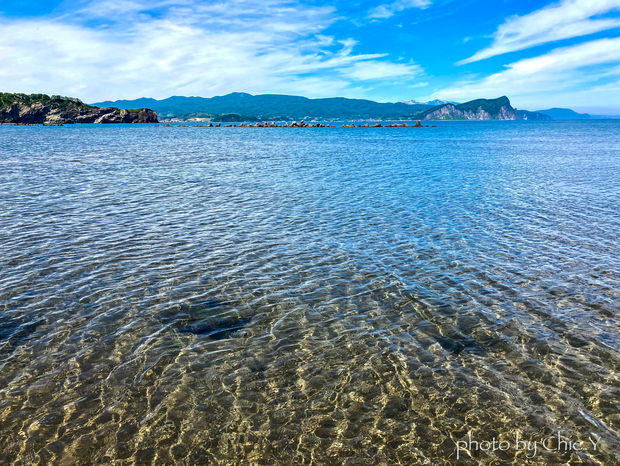 海のクリーンアップ大作戦！