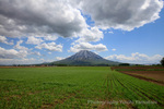 羊蹄山を望む景色が最高！